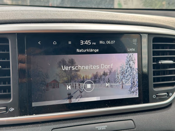 Kia Sportage Business Class NAVI. Kamera. DCT Vorschaubild 13